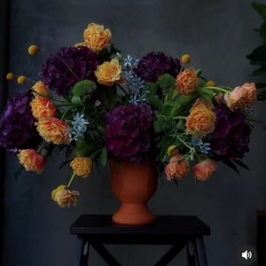 Meet your Posher, Ani